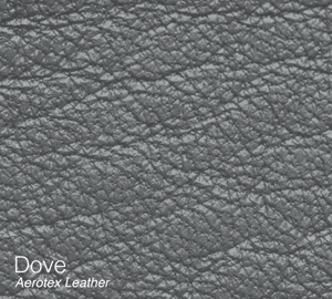 Aircraft Leather