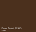 Burnt Toast
