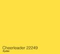 Cheerleader