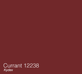 Currant
