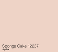 Sponge Cake