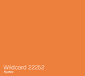 WildCard