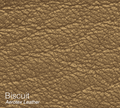 Biscuit