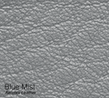 Blue Mist