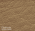 Chamois