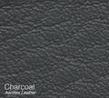 Charcoal