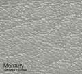 Mercury
